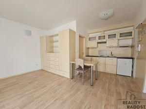Pronájem bytu 1+kk, Hodonín, Příční, 28 m2