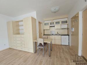 Pronájem bytu 1+kk, Hodonín, Příční, 28 m2