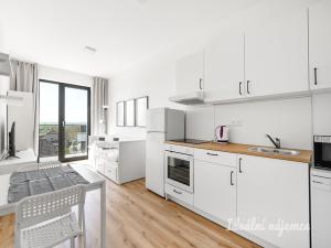 Pronájem bytu 1+kk, Praha - Kyje, Za černým mostem, 24 m2