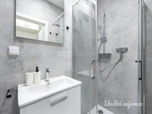 Pronájem bytu 1+kk, Praha - Kyje, Za černým mostem, 24 m2