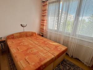 Pronájem bytu 1+1, České Budějovice, Staroměstská, 43 m2
