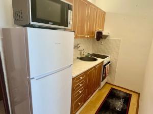 Pronájem bytu 1+1, České Budějovice, Staroměstská, 43 m2