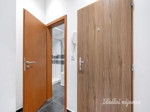 Pronájem bytu 1+kk, Praha - Černý Most, Rudolfa Holeky, 27 m2