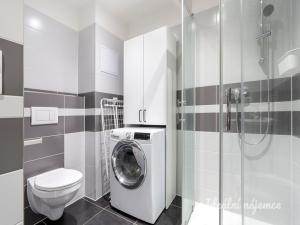 Pronájem bytu 1+kk, Praha - Černý Most, Rudolfa Holeky, 27 m2