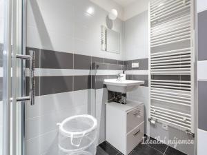 Pronájem bytu 1+kk, Praha - Černý Most, Rudolfa Holeky, 27 m2