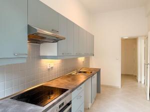 Pronájem bytu 2+1, Praha - Vinohrady, Londýnská, 94 m2