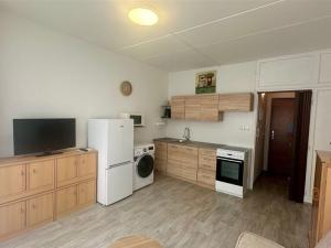 Pronájem bytu 1+kk, Cheb, Do Zátiší, 20 m2