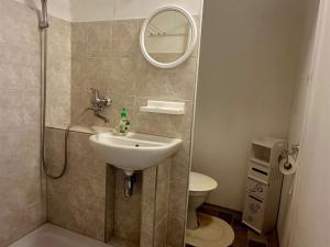 Pronájem bytu 1+kk, Cheb, Do Zátiší, 20 m2