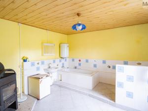 Prodej rodinného domu, Nová Ves v Horách - Mikulovice, 320 m2
