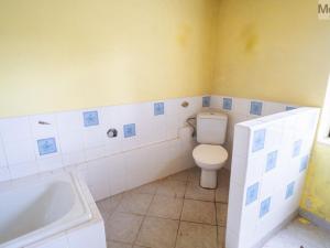 Prodej rodinného domu, Nová Ves v Horách - Mikulovice, 320 m2