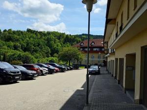Prodej bytu 3+kk, Český Krumlov, Chvalšinská, 61 m2