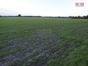 Prodej pozemku pro bydlení, Staré Jesenčany, 3364 m2