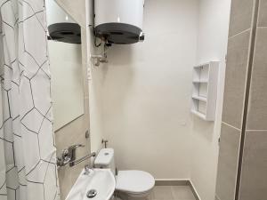 Pronájem rodinného domu, Chlumec nad Cidlinou, Žiželická, 50 m2