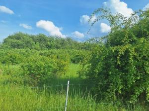 Prodej pozemku pro bydlení, Modlany - Drahkov, 1200 m2