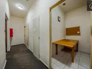 Pronájem obchodního prostoru, Petrovice, 450 m2