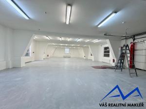 Pronájem výrobních prostor, Ostrava, Výhledy, 300 m2