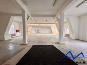 Pronájem výrobních prostor, Ostrava, Výhledy, 300 m2