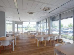 Pronájem skladu, Ostrava, Na Rovince, 3026 m2