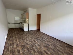 Pronájem bytu 2+kk, Most, Josefa Suka, 40 m2
