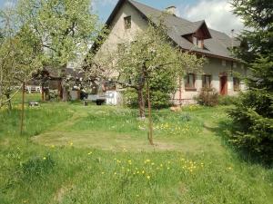 Prodej rodinného domu, Červená Voda, 22, 323 m2