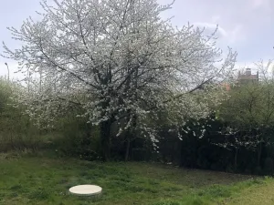 Pronájem bytu 2+kk, Olomouc, U solných mlýnů, 63 m2