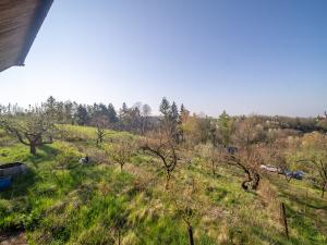 Prodej zahrady, Kokory, 1400 m2