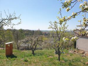 Prodej zahrady, Kokory, 1400 m2