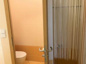 Prodej bytu 1+kk, Olomouc - Povel, Peškova, 45 m2