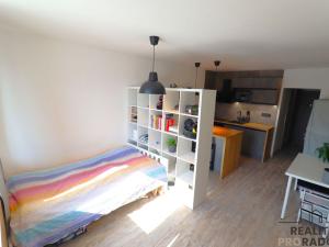 Pronájem bytu 1+kk, Ostrava - Výškovice, Lumírova, 28 m2