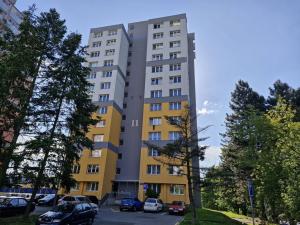 Pronájem bytu 1+kk, Ostrava - Výškovice, Lumírova, 28 m2