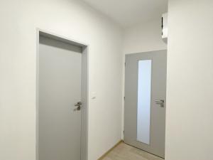 Pronájem bytu 1+kk, Olomouc, U solných mlýnů, 41 m2