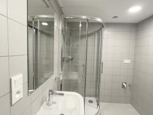 Pronájem bytu 1+kk, Olomouc, U solných mlýnů, 41 m2