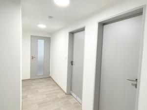 Pronájem bytu 2+kk, Olomouc, U solných mlýnů, 73 m2