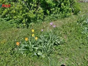 Prodej rodinného domu, Židovice, 86 m2