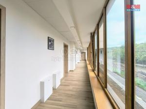 Pronájem bytu 1+kk, Slaný, Lázeňská, 35 m2