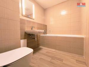Pronájem bytu 1+kk, Slaný, Lázeňská, 35 m2