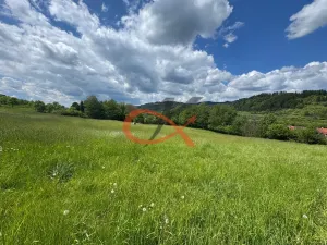 Prodej louky, Nový Hrozenkov, 25140 m2