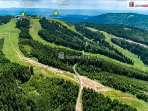 Prodej chaty, Merklín - Pstruží, 61 m2