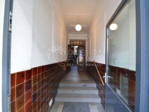Pronájem bytu 1+kk, Praha - Žižkov, Hartigova, 25 m2