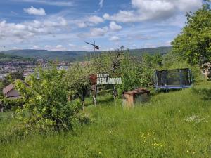 Prodej zahrady, Děčín - Děčín III-Staré Město, Chlumská