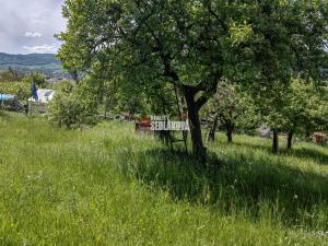 Prodej zahrady, Děčín - Děčín III-Staré Město, Chlumská