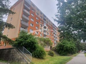 Pronájem bytu 1+kk, Plzeň - Doubravka, Na Kovárně, 21 m2