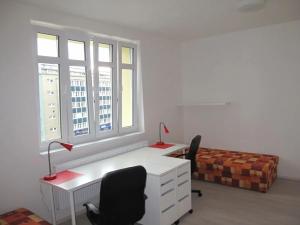 Pronájem bytu 2+1, Brno, Kounicova, 54 m2