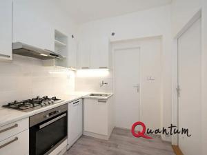 Pronájem bytu 2+1, Praha - Žižkov, Rečkova, 59 m2