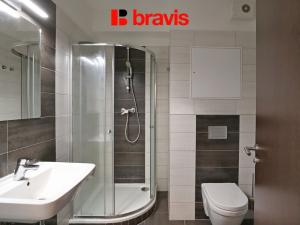 Pronájem bytu 1+kk, Brno, Lišejníková, 33 m2