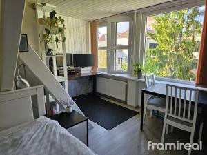Pronájem bytu 1+kk, Brno - Pisárky, Hlinky, 34 m2