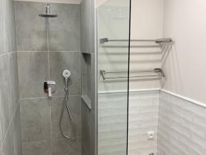 Pronájem bytu 2+kk, Hradec Králové, Masarykovo náměstí, 54 m2