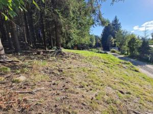 Prodej chaty, Lenora, 10 m2