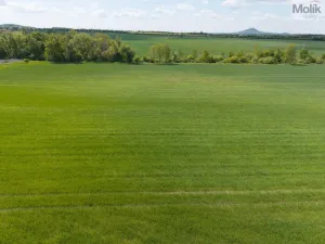 Prodej komerčního pozemku, Lovosice, Lukavecká, 17476 m2