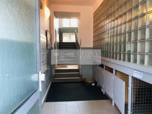 Pronájem bytu 2+1, Brno, Poříčí, 59 m2